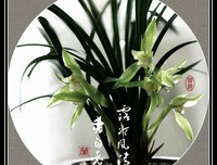 倪的夜经典的句子