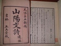 描写文诗的经典句子