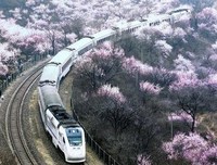 感性优美的句子