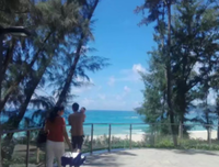 《简单心情》的句子