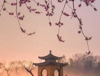 学会妥善处理这些事情，是一段婚姻变得更好的开始