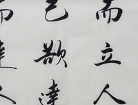 《有发感论》的句子