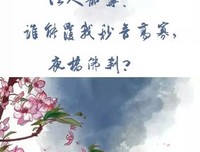 浮华梦的优美句子