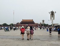《猫与爷爷》观后感10篇