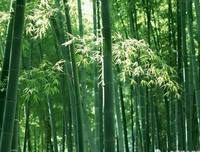 关于慢慢的心道的句子