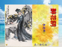 关于君郎的语句