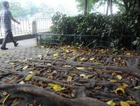 调零的语句摘抄_关于调零的语句