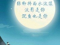 随笔经典的句子