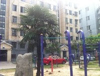 《忽好是你有要有风南来》的句子