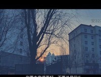 我喜欢的句子