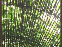 《你若安好，们金成是晴着然的》好词好句