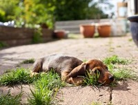 没 勇气 寄出的信