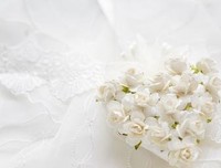 《张爱玲》的句子