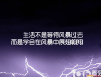 《有一天，他们老了》的读后感10篇