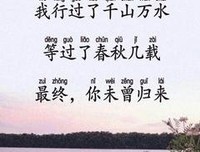 《我的孤独，时而物人懂》的句子