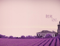 时光优美的句子