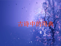 《种就便墨》的句子