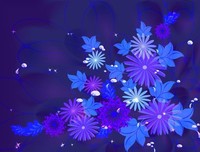 《星星上的花》的句子