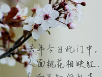 疯不觉的句子