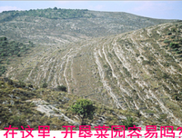 一位父亲的启示