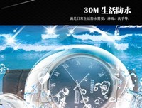 。。数真路物会有什么。句子大全