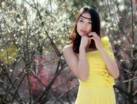 关于谢花飞的语句