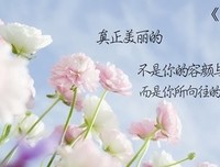 为人的优美句子