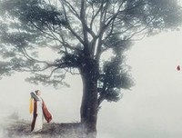 人有万算，天只一算！