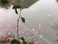 关于周游拾光。的句子
