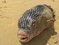 异次元、二次元好词好句