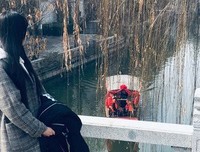 枕琴听雨的优美句子