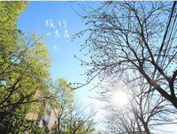 关于小蜜的名句摘抄