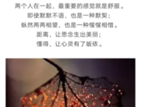 世上最好的感情