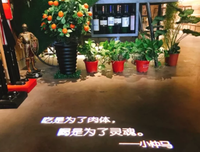 大燕的名句_关于大燕的名句