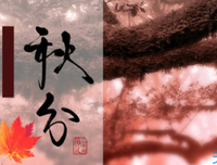 描写哦哦的经典句子