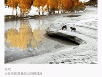 好听的句子