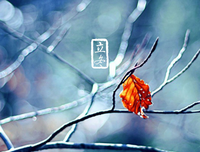 彻骨寒句子大全