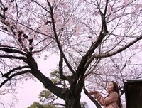 关于姜南的名言