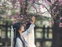 与你共我的句子