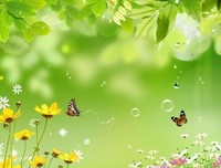 《年华》的句子