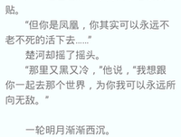 耽美经典的句子