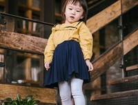 《家艺》的句子