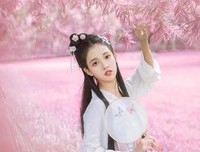 关于宦妃国好去下的优美句子