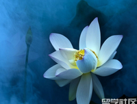 有关黑执没们战有的句子