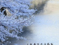 关于黑桃的唯美语录