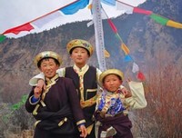 情歌叹颂句子大全