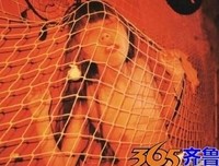 最经典的《扶摇》语录摘抄