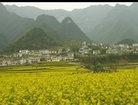 有关邪肆的美句摘抄