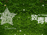 关于青春的句子