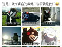 《喵》的句子